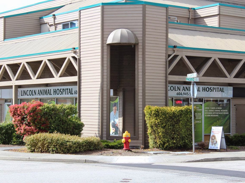 outside view of lincoln animal hospital building