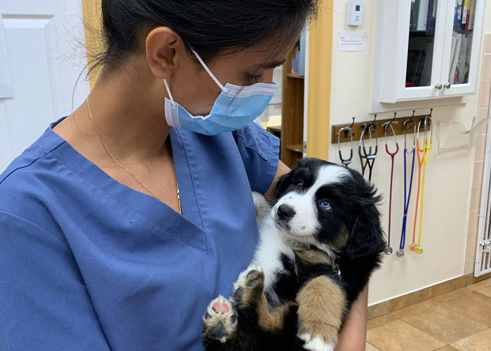 technician holding cute puppy