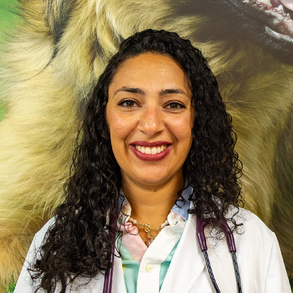 dr. mary habib at lincoln animal hospital coquitlam